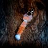 reflector with fox