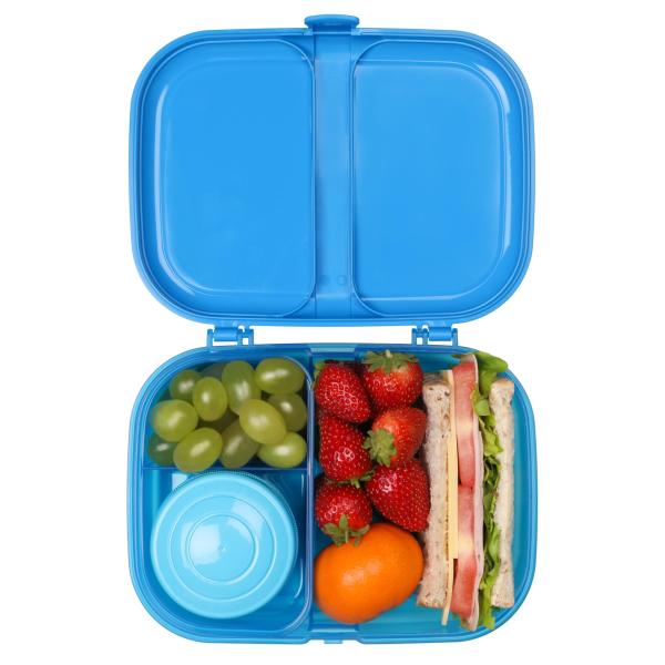 Small Lunch Box blue