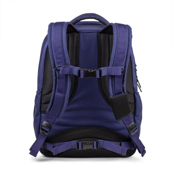 ergonomic back support