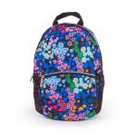 tourpack backpack